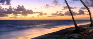 Preview wallpaper palm trees, beach, sea, tropics