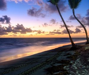 Preview wallpaper palm trees, beach, sea, tropics