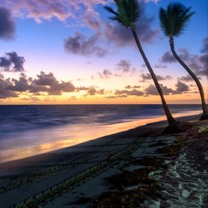 Preview wallpaper palm trees, beach, sea, tropics