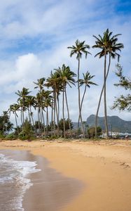 Preview wallpaper palm trees, beach, tide, waves