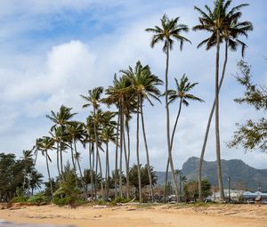 Preview wallpaper palm trees, beach, tide, waves