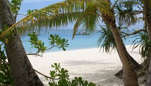 Preview wallpaper palm trees, branches, coast, sand, vessel, gulf