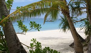 Preview wallpaper palm trees, branches, coast, sand, vessel, gulf