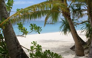 Preview wallpaper palm trees, branches, coast, sand, vessel, gulf