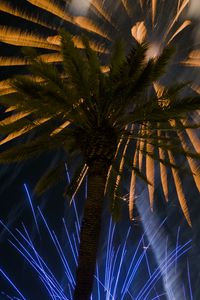 Preview wallpaper palm trees, branches, fireworks, night, dark