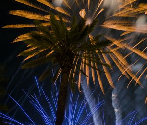 Preview wallpaper palm trees, branches, fireworks, night, dark
