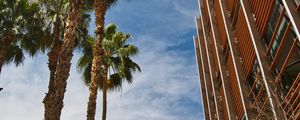 Preview wallpaper palm trees, building, sky, bottom view