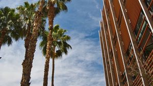 Preview wallpaper palm trees, building, sky, bottom view