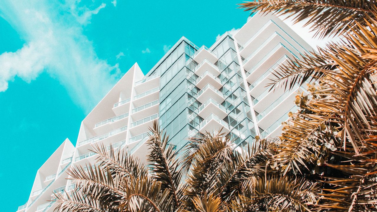 Wallpaper palm trees, building, tropics, sky, bottom view