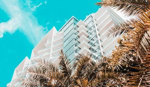 Preview wallpaper palm trees, building, tropics, sky, bottom view