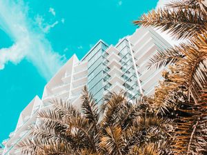 Preview wallpaper palm trees, building, tropics, sky, bottom view