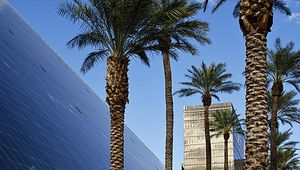 Preview wallpaper palm trees, buildings, architecture