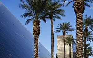 Preview wallpaper palm trees, buildings, architecture