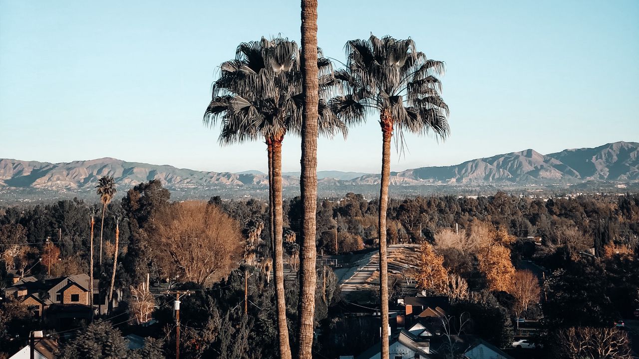 Wallpaper palm trees, buildings, mountains, aerial view, nature