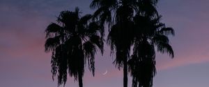 Preview wallpaper palm trees, buildings, silhouettes, moon, twilight