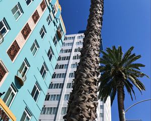 Preview wallpaper palm trees, buildings, sky, bottom view