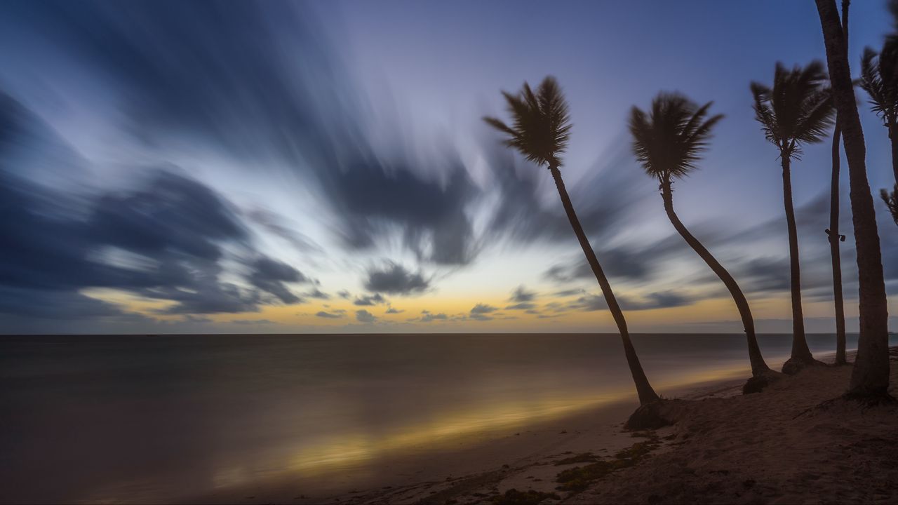 Wallpaper palm trees, clouds, sky, twilight, sea, beach, tropics