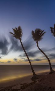 Preview wallpaper palm trees, clouds, sky, twilight, sea, beach, tropics