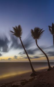 Preview wallpaper palm trees, clouds, sky, twilight, sea, beach, tropics