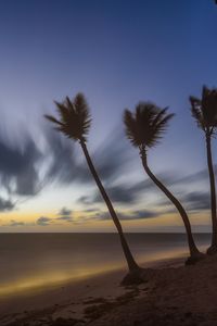 Preview wallpaper palm trees, clouds, sky, twilight, sea, beach, tropics