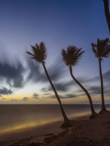 Preview wallpaper palm trees, clouds, sky, twilight, sea, beach, tropics