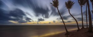 Preview wallpaper palm trees, clouds, sky, twilight, sea, beach, tropics