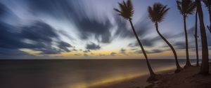 Preview wallpaper palm trees, clouds, sky, twilight, sea, beach, tropics