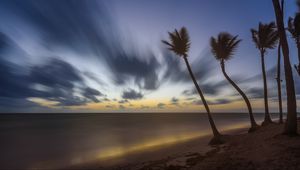 Preview wallpaper palm trees, clouds, sky, twilight, sea, beach, tropics