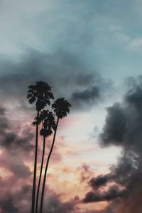 Preview wallpaper palm trees, clouds, sunset, outlines, sky, tropics