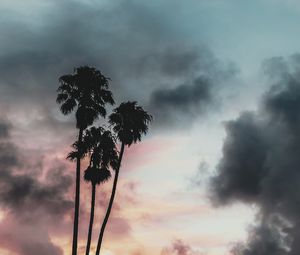 Preview wallpaper palm trees, clouds, sunset, outlines, sky, tropics
