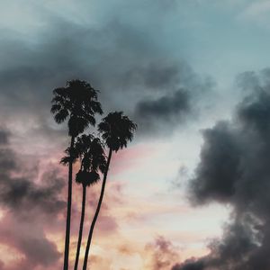Preview wallpaper palm trees, clouds, sunset, outlines, sky, tropics
