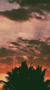 Preview wallpaper palm trees, clouds, sunset, dark, outlines, branches, tropics
