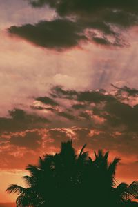 Preview wallpaper palm trees, clouds, sunset, dark, outlines, branches, tropics