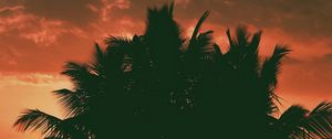 Preview wallpaper palm trees, clouds, sunset, dark, outlines, branches, tropics