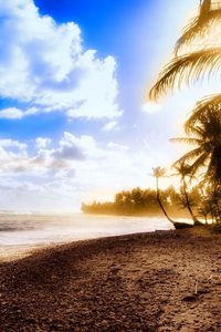 Preview wallpaper palm trees, coast, beach, sun, light, sky, clouds, heat