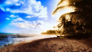 Preview wallpaper palm trees, coast, beach, sun, light, sky, clouds, heat