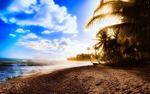 Preview wallpaper palm trees, coast, beach, sun, light, sky, clouds, heat