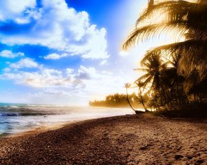 Preview wallpaper palm trees, coast, beach, sun, light, sky, clouds, heat