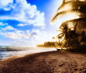 Preview wallpaper palm trees, coast, beach, sun, light, sky, clouds, heat