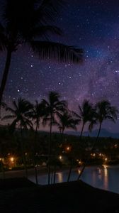 Preview wallpaper palm trees, coast, night