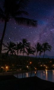 Preview wallpaper palm trees, coast, night