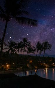 Preview wallpaper palm trees, coast, night