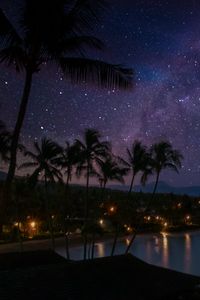 Preview wallpaper palm trees, coast, night