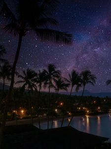 Preview wallpaper palm trees, coast, night