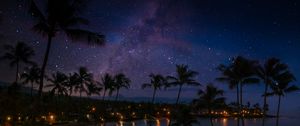 Preview wallpaper palm trees, coast, night