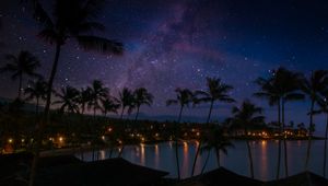 Preview wallpaper palm trees, coast, night