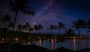 Preview wallpaper palm trees, coast, night