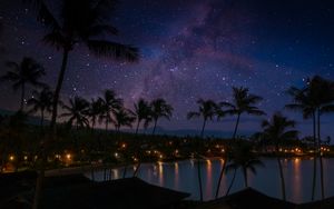 Preview wallpaper palm trees, coast, night