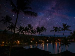 Preview wallpaper palm trees, coast, night