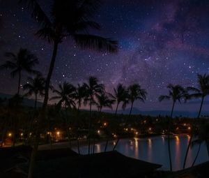 Preview wallpaper palm trees, coast, night